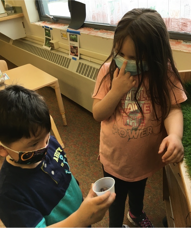 kindergarten teaching preschooler not to squeeze the moth cacoons