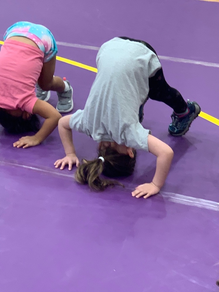 wrestling camp 101