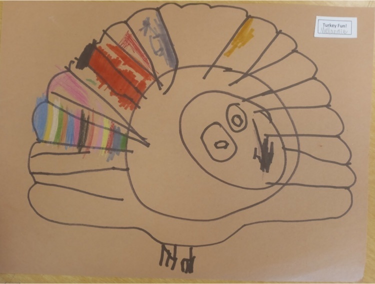 turkey drawing 